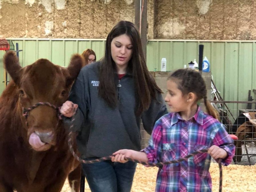 Braiden Poston helps Abigale Perez at last year's livestock clinic.