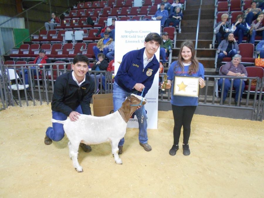 Ethan and Tyler Bandy help during the Gold Star event at the Stephens County Livestock show.